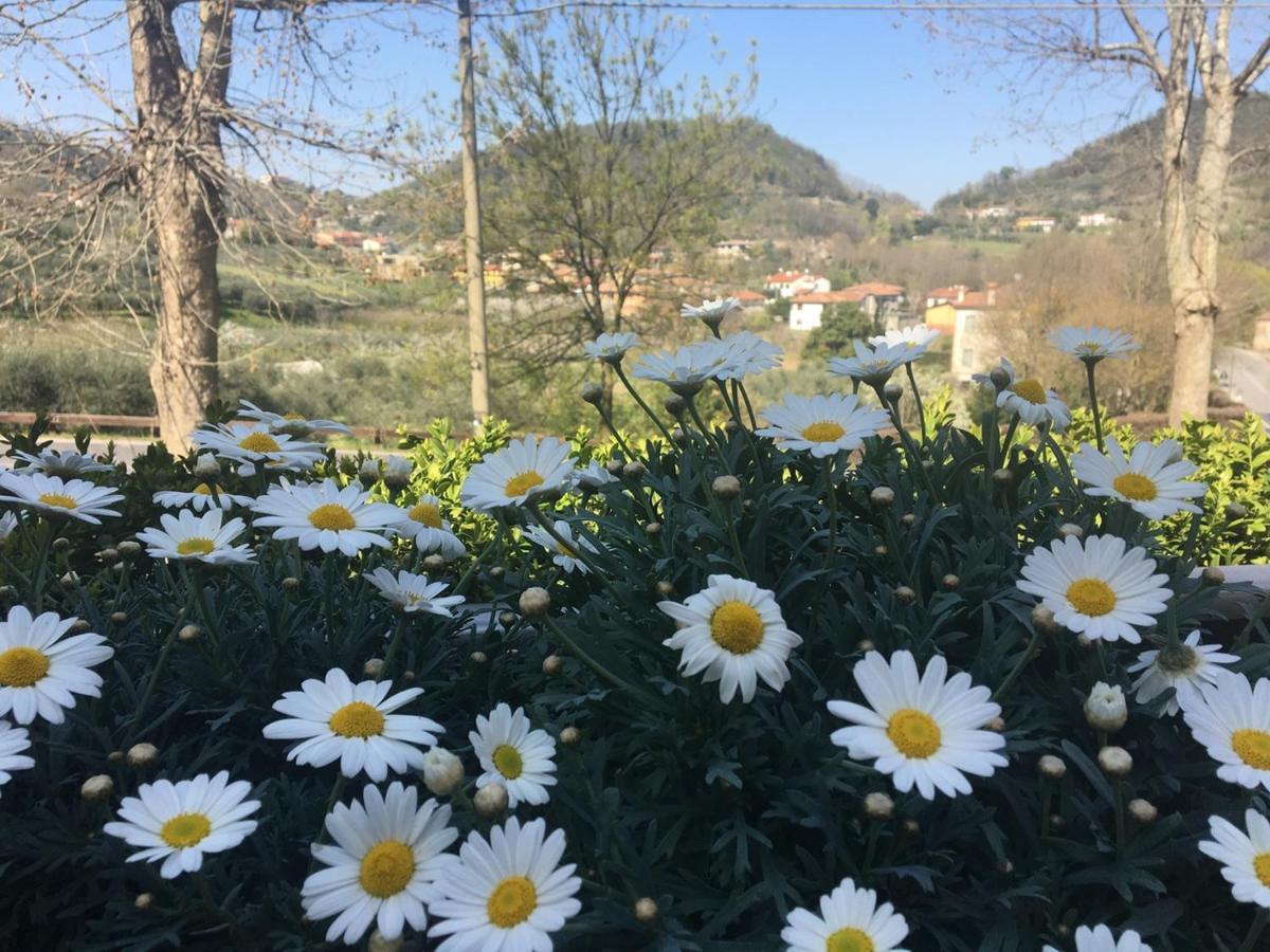Belvedere Resort Ai Colli Galzignano Terme ภายนอก รูปภาพ