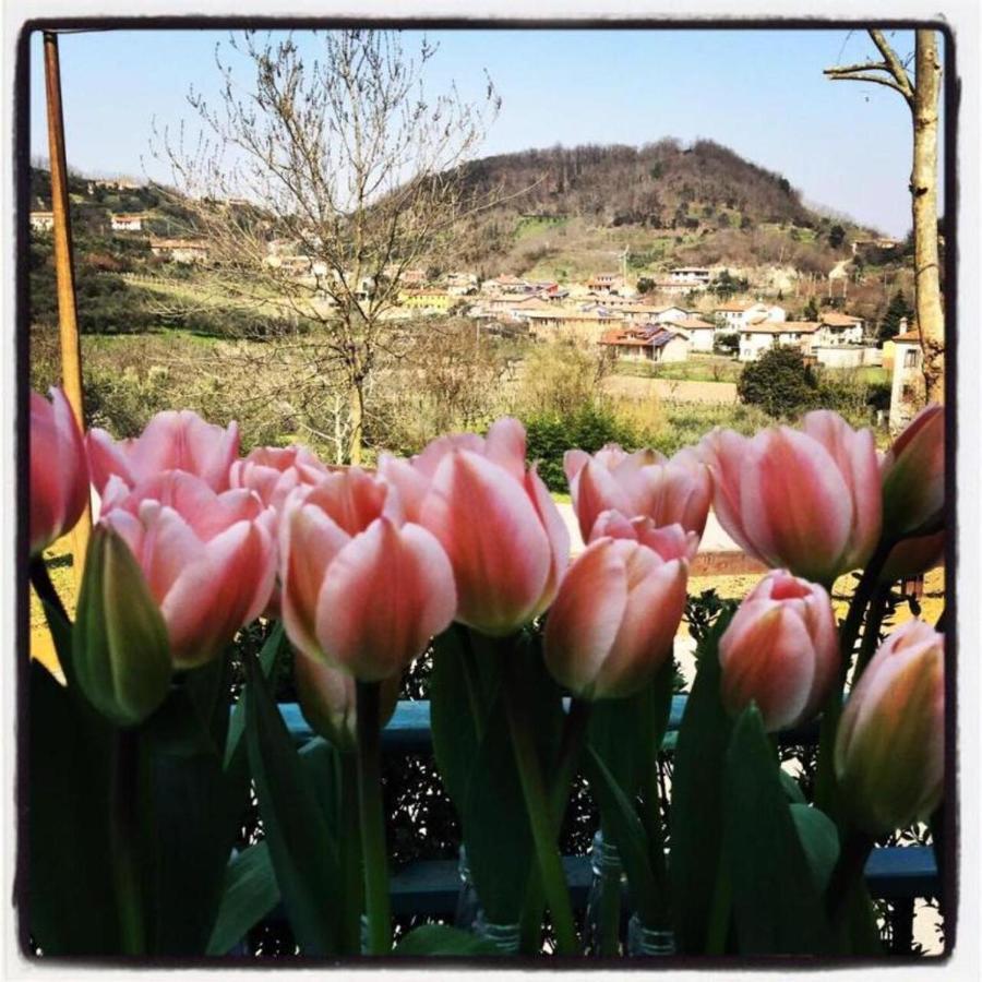 Belvedere Resort Ai Colli Galzignano Terme ภายนอก รูปภาพ